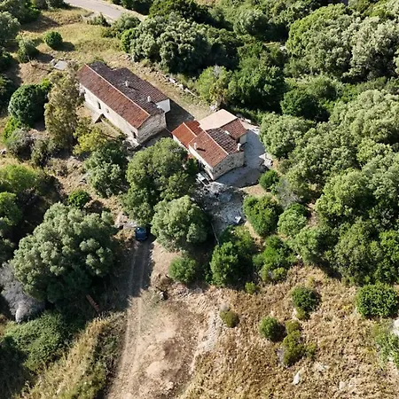 Casa Stazzu Saiacciu Holiday home Palau
